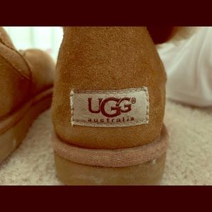 Tall Chestnut Uggs